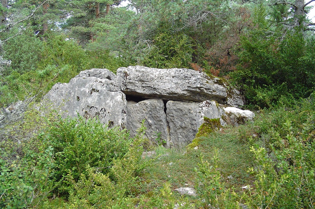 Dolmen de Chardonnet